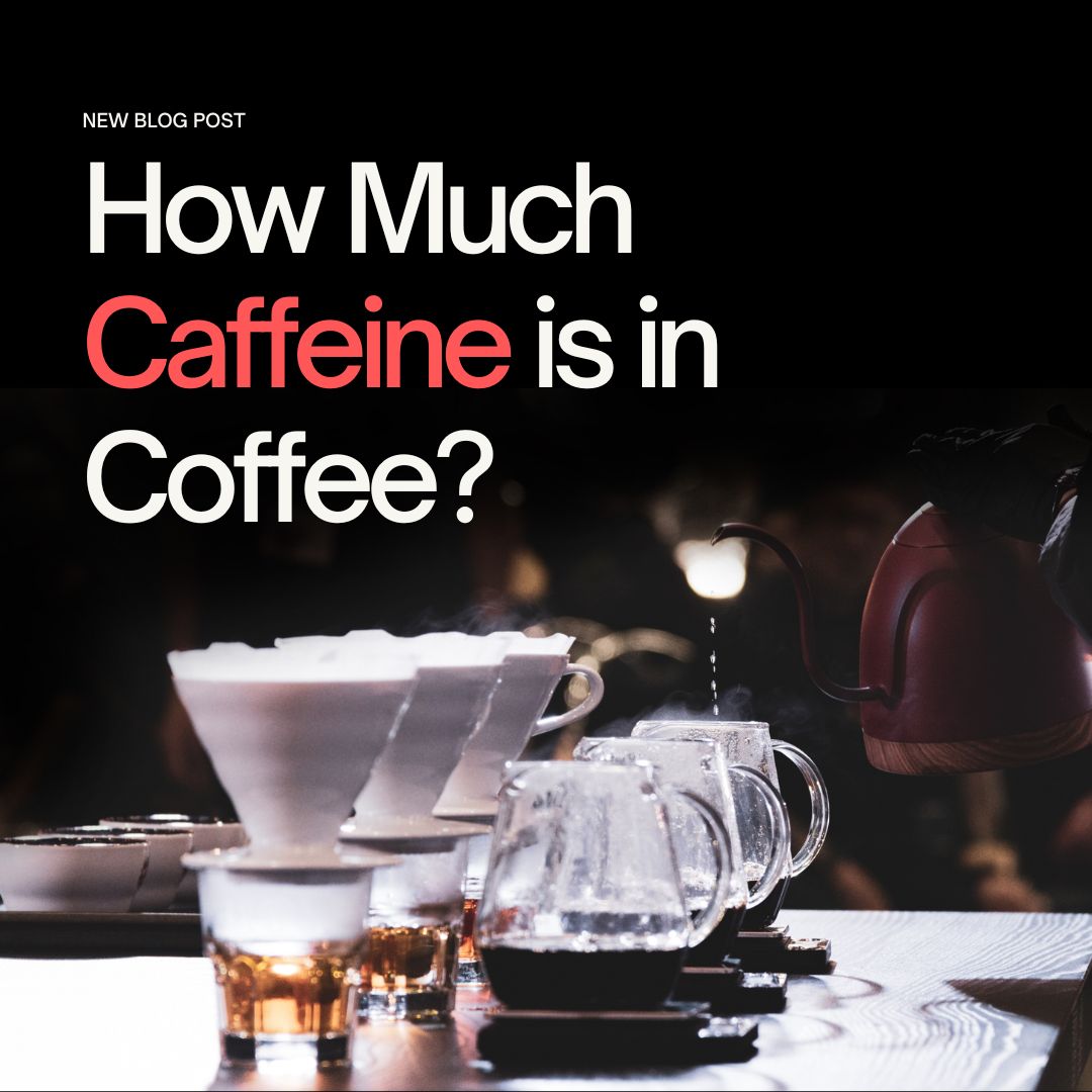 How Much Caffeine is in Coffee?