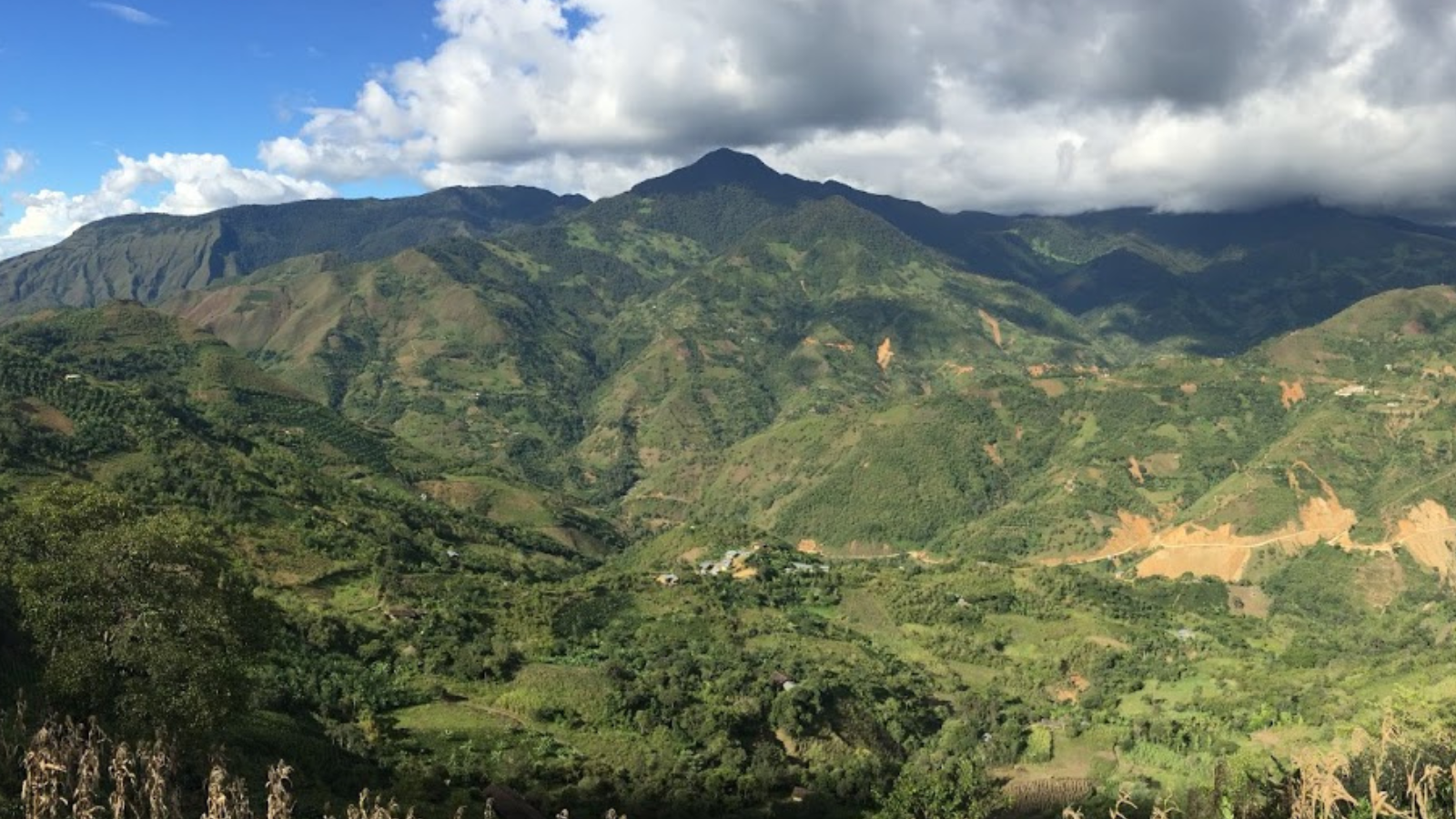 Peru mountain vista and coffee farms