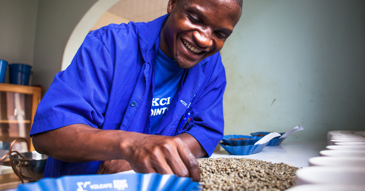 Uganda quality control manager with green coffee
